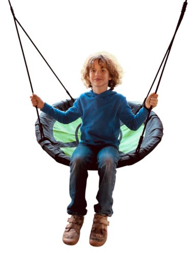 Assembled Nest Swing in Box
