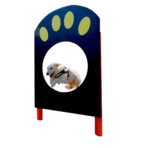 Dog Agility Course